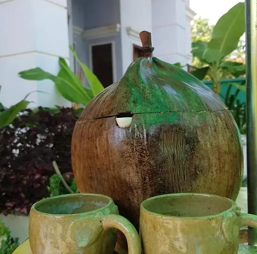 Bloom Garden Kwatera prywatna