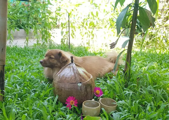 Bloom Garden *