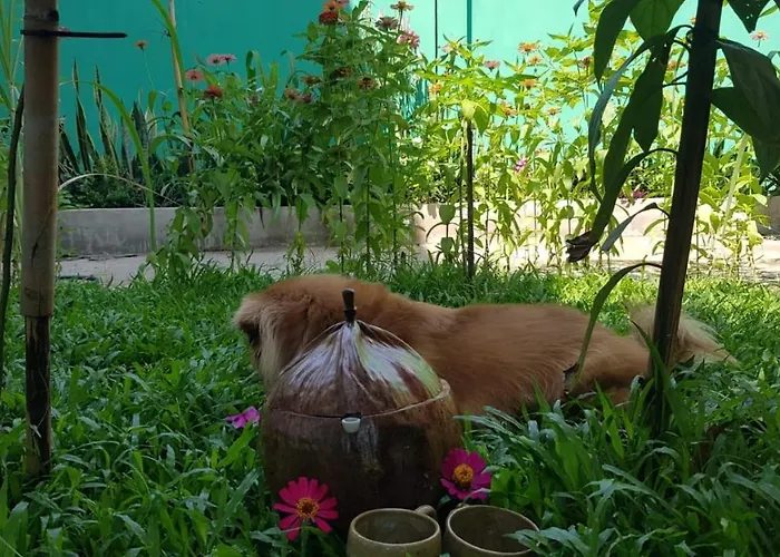 Bloom Garden Siem Reap