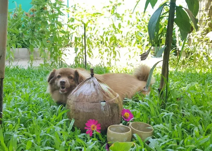 Bloom Garden