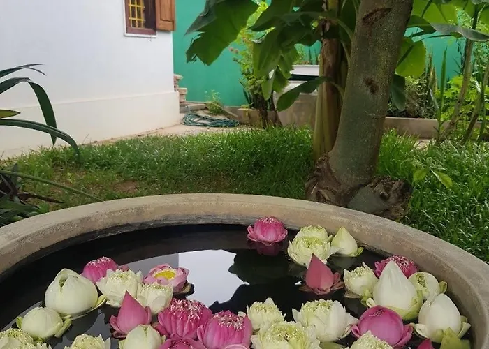 Kwatera prywatna Bloom Garden