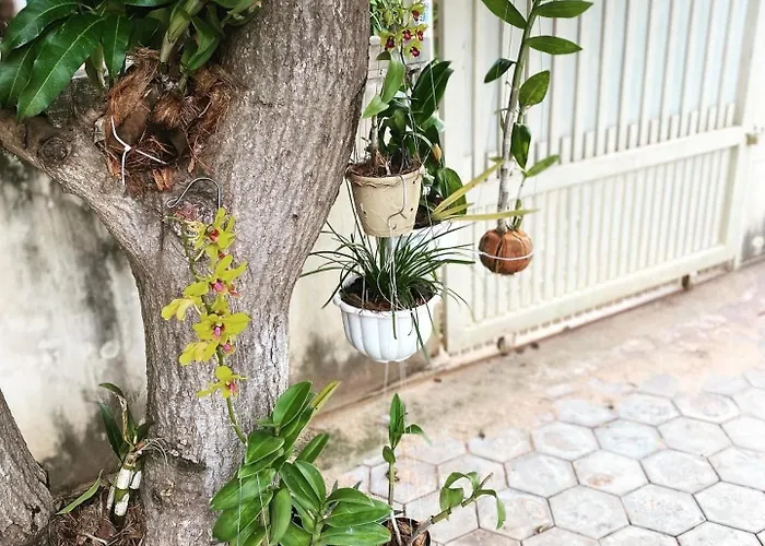 Bloom Garden Kwatera prywatna *